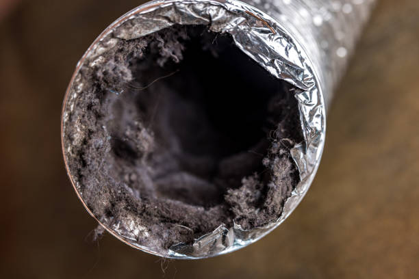 Best Local Air Duct Cleaning Services  in Bothell, WA
